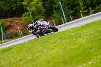 Brno;event-digital-images;motorbikes;no-limits;peter-wileman-photography;trackday;trackday-digital-images